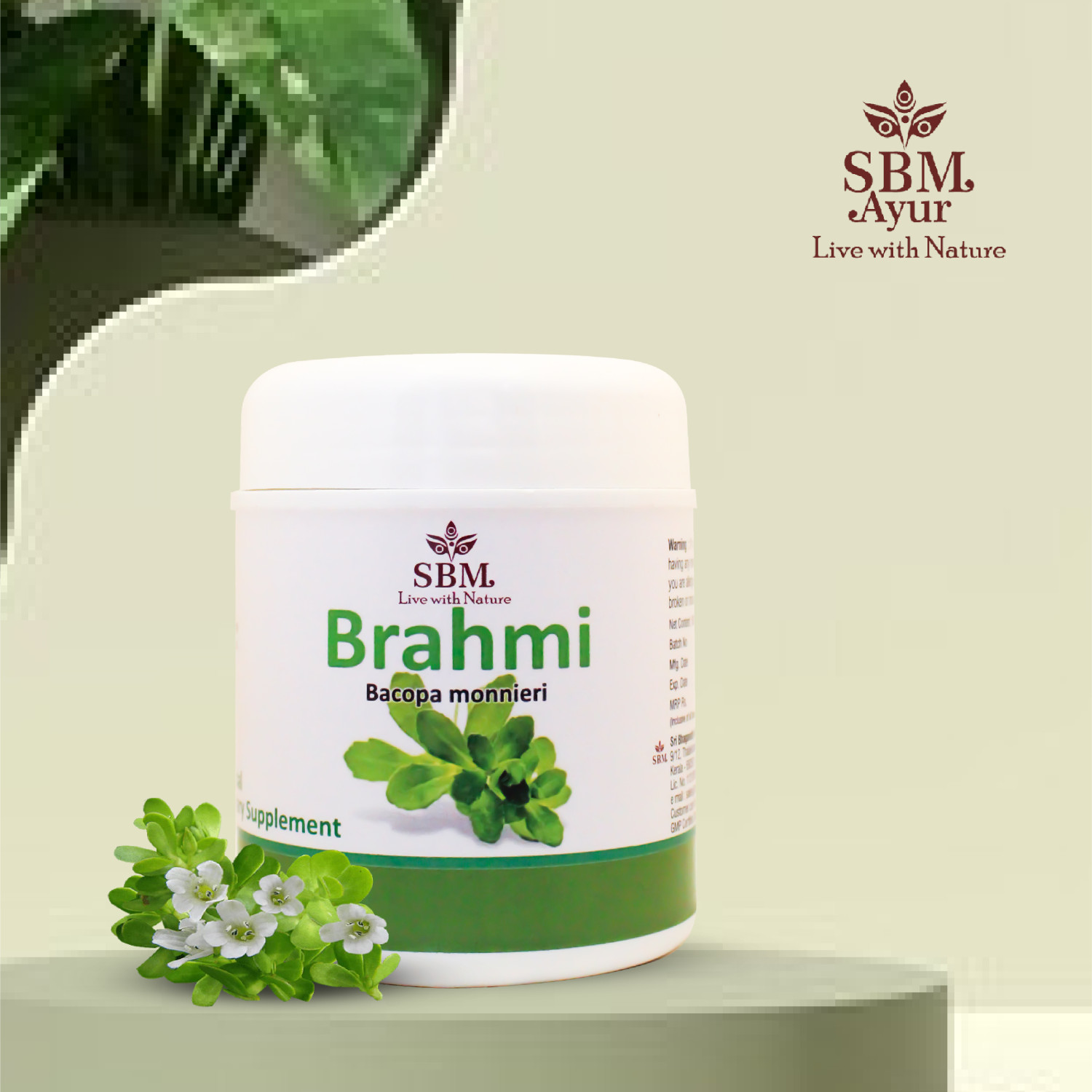 SBM BRAHMI