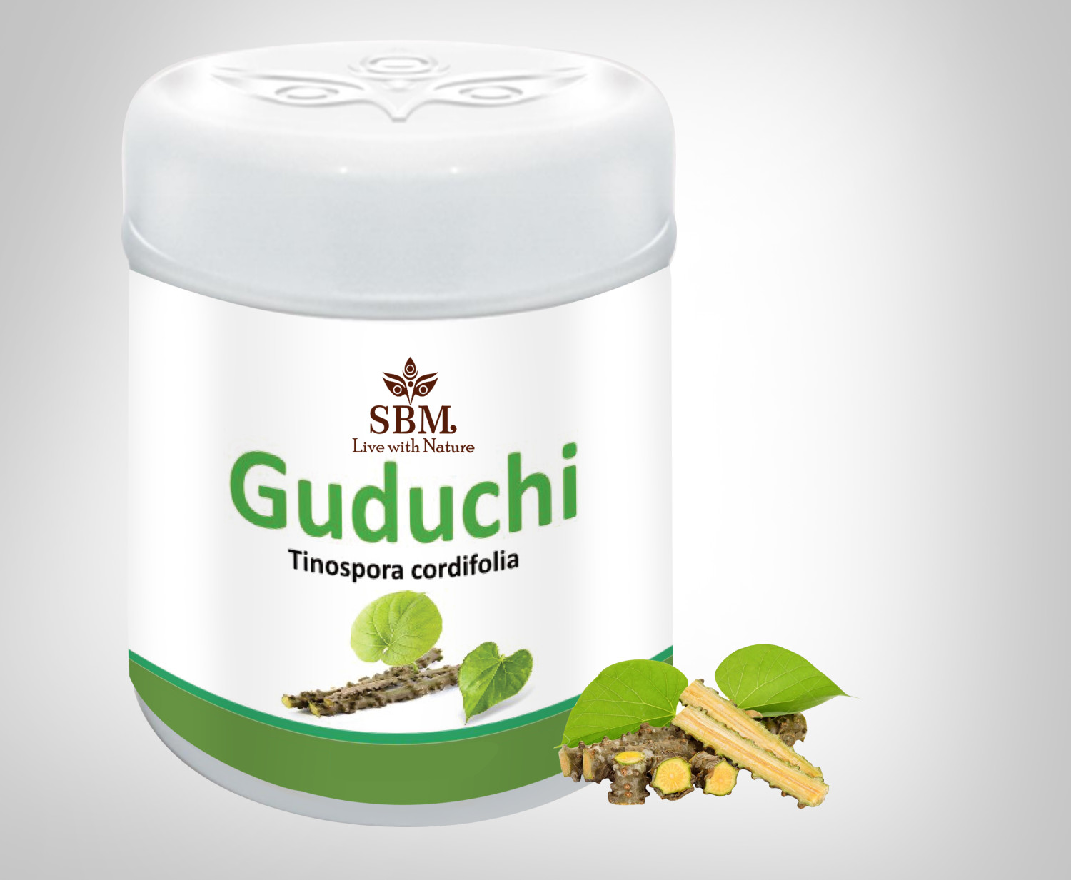 SBM GUDUCHI