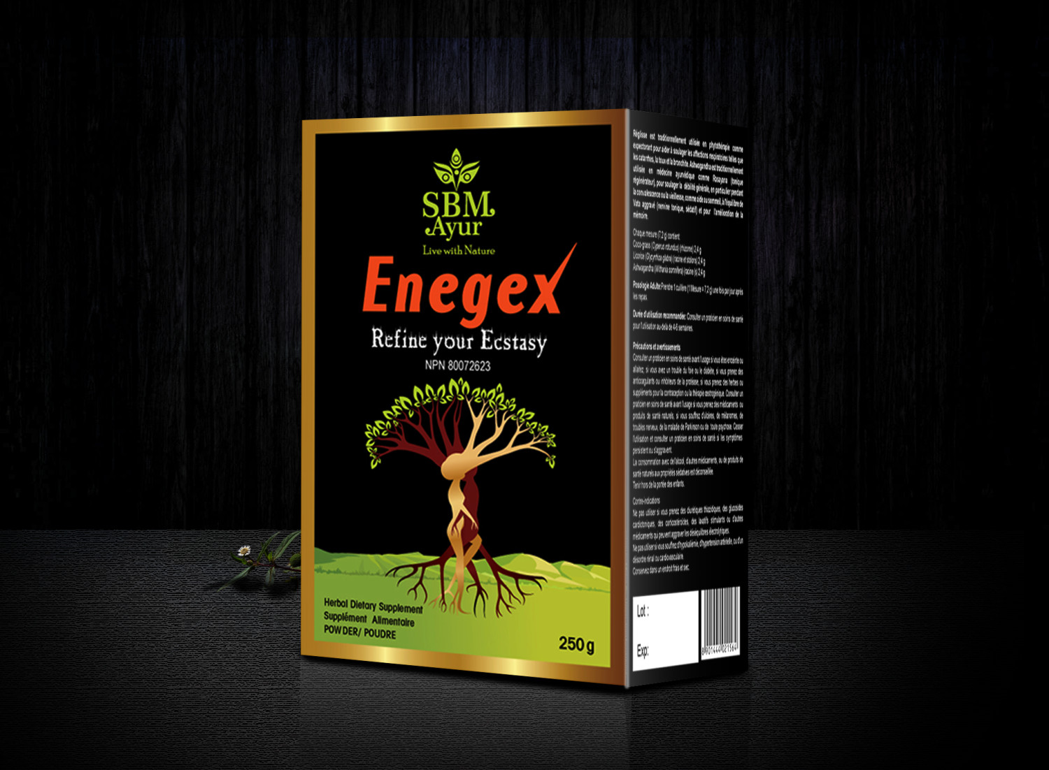 SBM ENEGEX